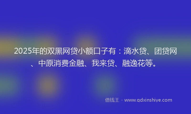 2025年的双黑网贷小额口子有：滴水贷、团贷网、中原消费金融、我来贷、融逸花等。