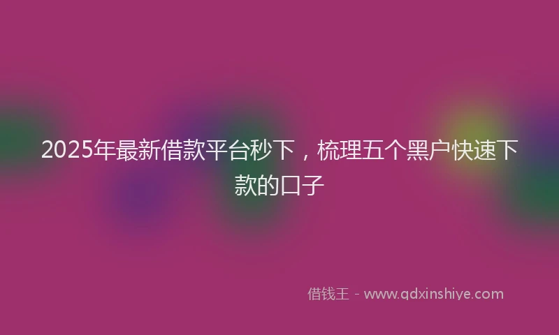2025年最新借款平台秒下，梳理五个黑户快速下款的口子