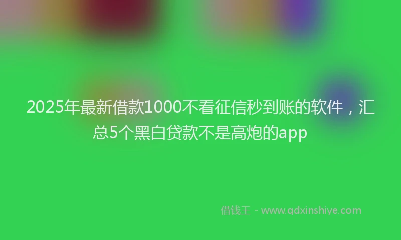 2025年最新借款1000不看征信秒到账的软件，汇总5个黑白贷款不是高炮的app