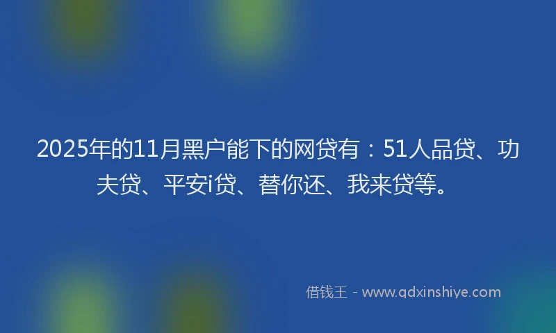 2025年的11月黑户能下的网贷有：51人品贷、功夫贷、平安i贷、替你还、我来贷等。