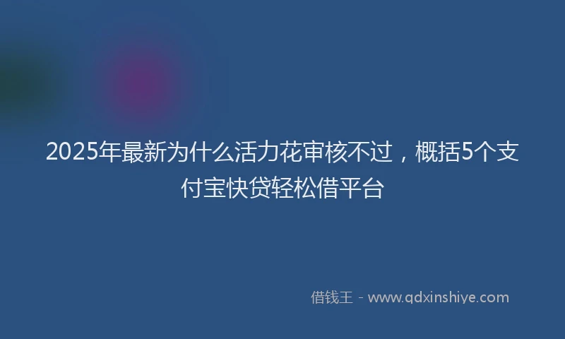 2025年最新为什么活力花审核不过，概括5个支付宝快贷轻松借平台