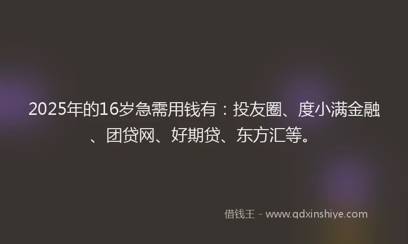2025年的16岁急需用钱有：投友圈、度小满金融、团贷网、好期贷、东方汇等。