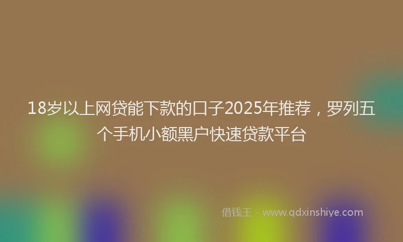 18岁以上网贷能下款的口子2025年推荐，罗列五个手机小额黑户快速贷款平台