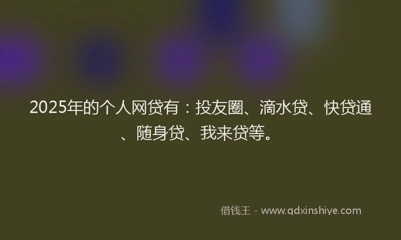 2025年的个人网贷有：投友圈、滴水贷、快贷通、随身贷、我来贷等。