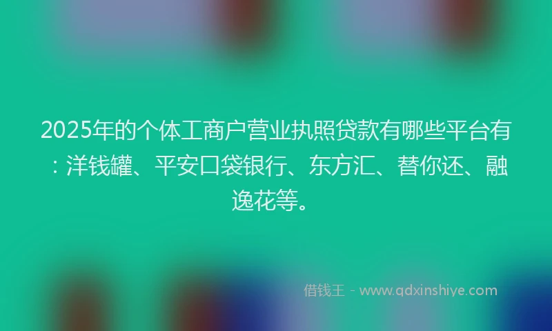 2025年的个体工商户营业执照贷款有哪些平台有：洋钱罐、平安口袋银行、东方汇、替你还、融逸花等。