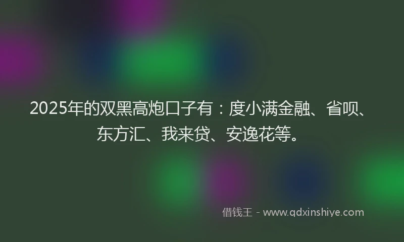 2025年的双黑高炮口子有：度小满金融、省呗、东方汇、我来贷、安逸花等。