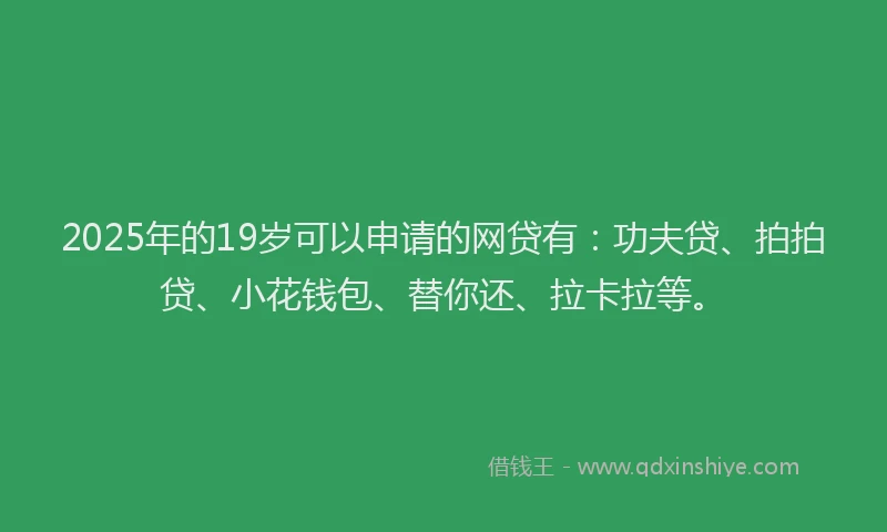 2025年的19岁可以申请的网贷有：功夫贷、拍拍贷、小花钱包、替你还、拉卡拉等。