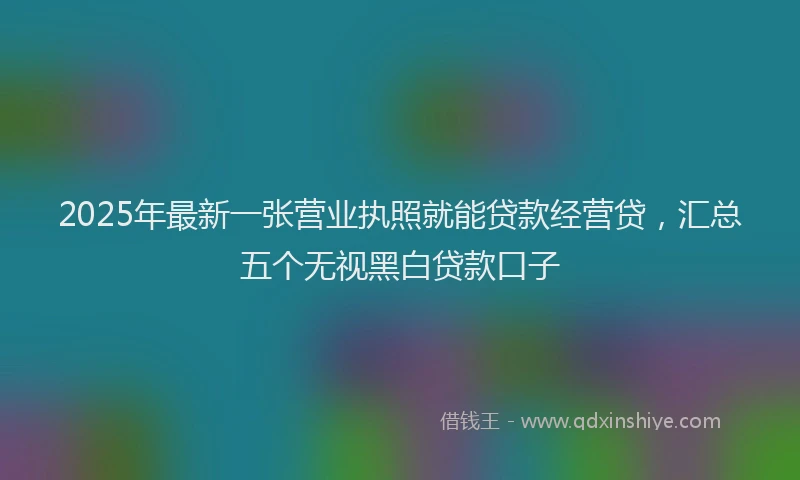 2025年最新一张营业执照就能贷款经营贷，汇总五个无视黑白贷款口子