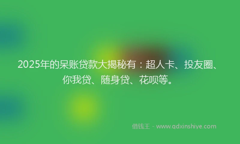 2025年的呆账贷款大揭秘有：超人卡、投友圈、你我贷、随身贷、花呗等。