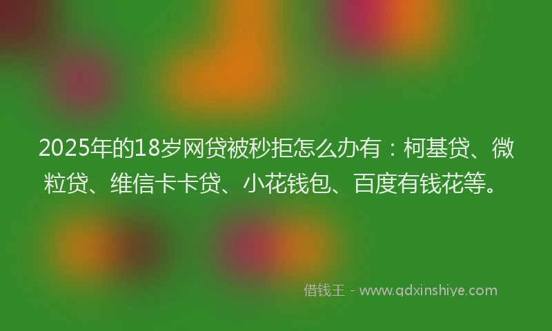 2025年的18岁网贷被秒拒怎么办有：柯基贷、微粒贷、维信卡卡贷、小花钱包、百度有钱花等。