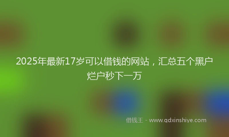 2025年最新17岁可以借钱的网站，汇总五个黑户烂户秒下一万