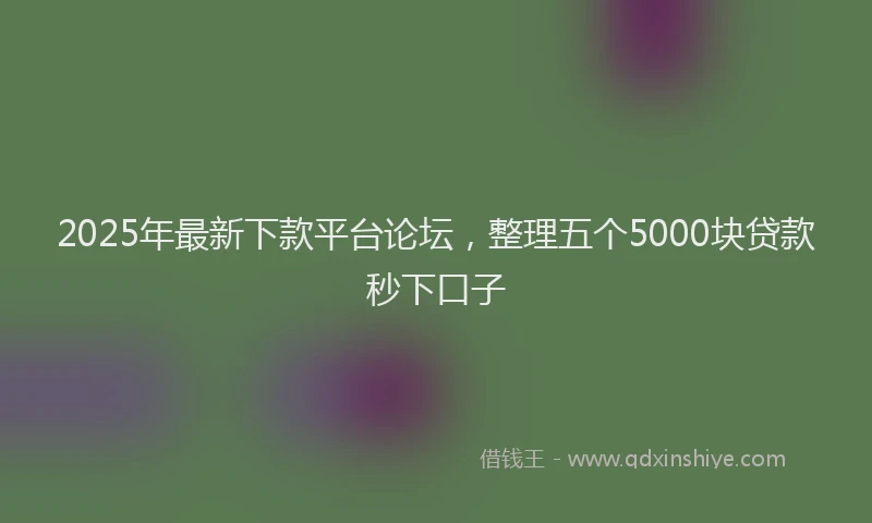 2025年最新下款平台论坛，整理五个5000块贷款秒下口子