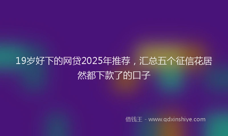 19岁好下的网贷2025年推荐，汇总五个征信花居然都下款了的口子
