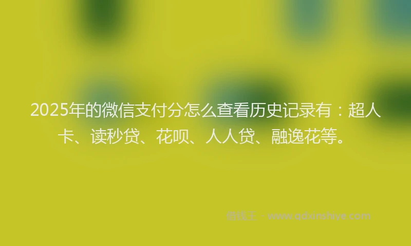 2025年的微信支付分怎么查看历史记录有：超人卡、读秒贷、花呗、人人贷、融逸花等。