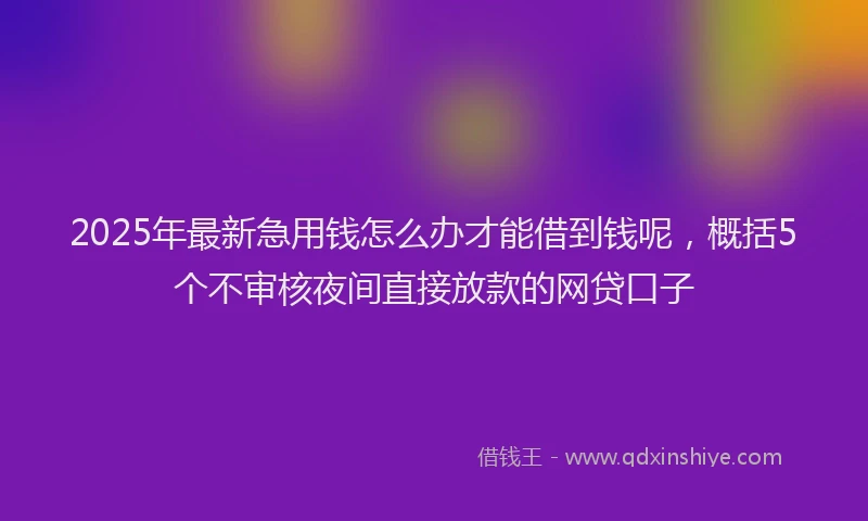 2025年最新急用钱怎么办才能借到钱呢，概括5个不审核夜间直接放款的网贷口子