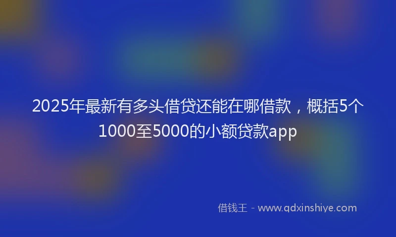 2025年最新有多头借贷还能在哪借款，概括5个1000至5000的小额贷款app