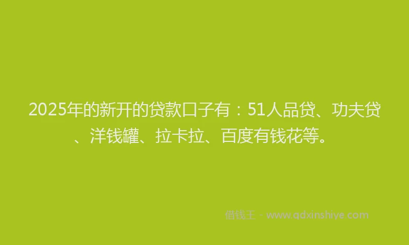 2025年的新开的贷款口子有：51人品贷、功夫贷、洋钱罐、拉卡拉、百度有钱花等。