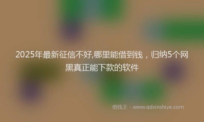 2025年最新征信不好,哪里能借到钱，归纳5个网黑真正能下款的软件