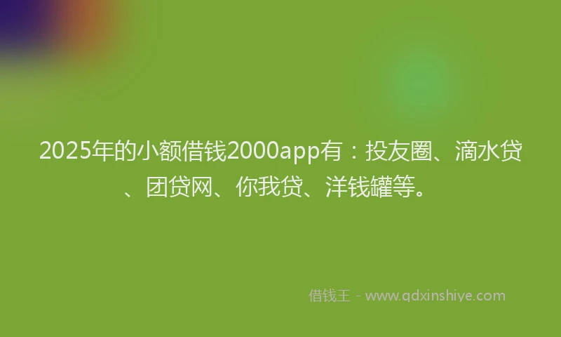 2025年的小额借钱2000app有：投友圈、滴水贷、团贷网、你我贷、洋钱罐等。