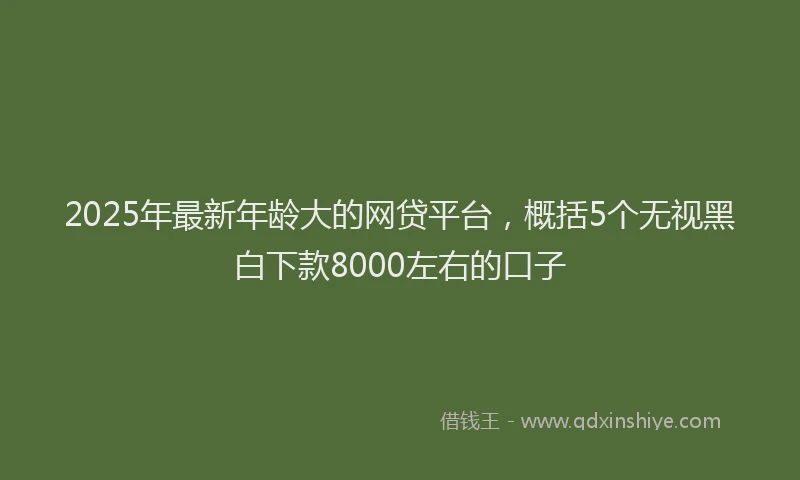 2025年最新年龄大的网贷平台，概括5个无视黑白下款8000左右的口子