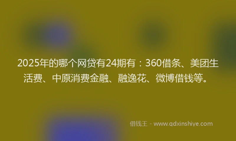 2025年的哪个网贷有24期有：360借条、美团生活费、中原消费金融、融逸花、微博借钱等。