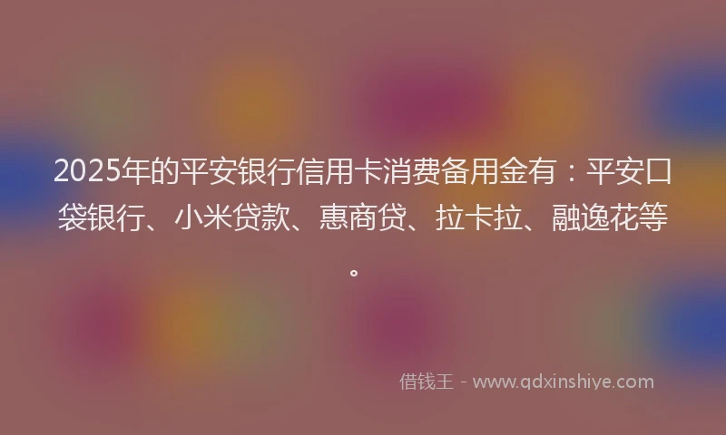 2025年的平安银行信用卡消费备用金有：平安口袋银行、小米贷款、惠商贷、拉卡拉、融逸花等。