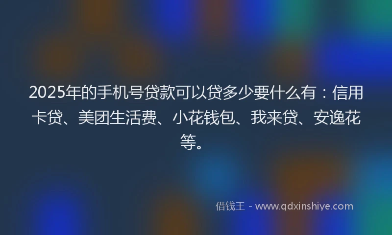 2025年的手机号贷款可以贷多少要什么有：信用卡贷、美团生活费、小花钱包、我来贷、安逸花等。