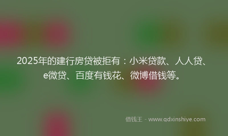 2025年的建行房贷被拒有：小米贷款、人人贷、e微贷、百度有钱花、微博借钱等。