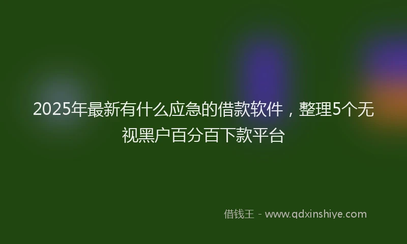 2025年最新有什么应急的借款软件，整理5个无视黑户百分百下款平台