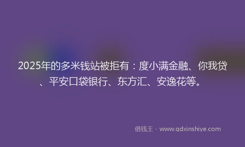 2025年的多米钱站被拒有：度小满金融、你我贷、平安口袋银行、东方汇、安逸花等。