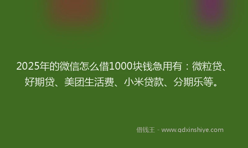 2025年的微信怎么借1000块钱急用有：微粒贷、好期贷、美团生活费、小米贷款、分期乐等。