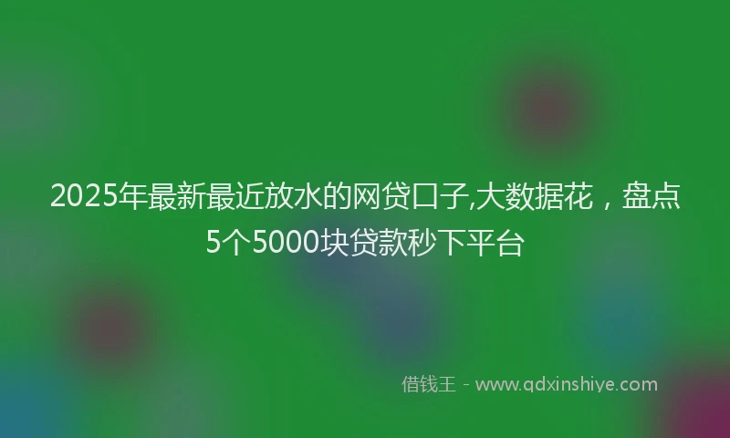 2025年最新最近放水的网贷口子,大数据花，盘点5个5000块贷款秒下平台