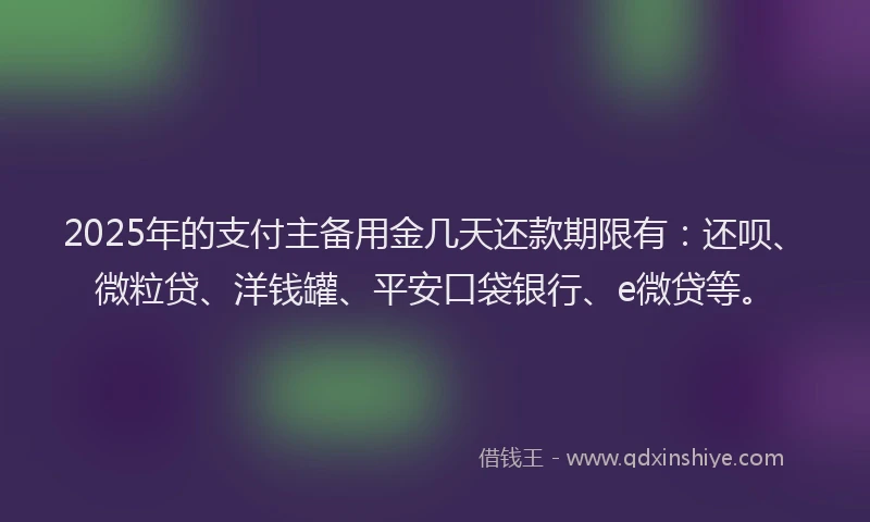 2025年的支付主备用金几天还款期限有：还呗、微粒贷、洋钱罐、平安口袋银行、e微贷等。