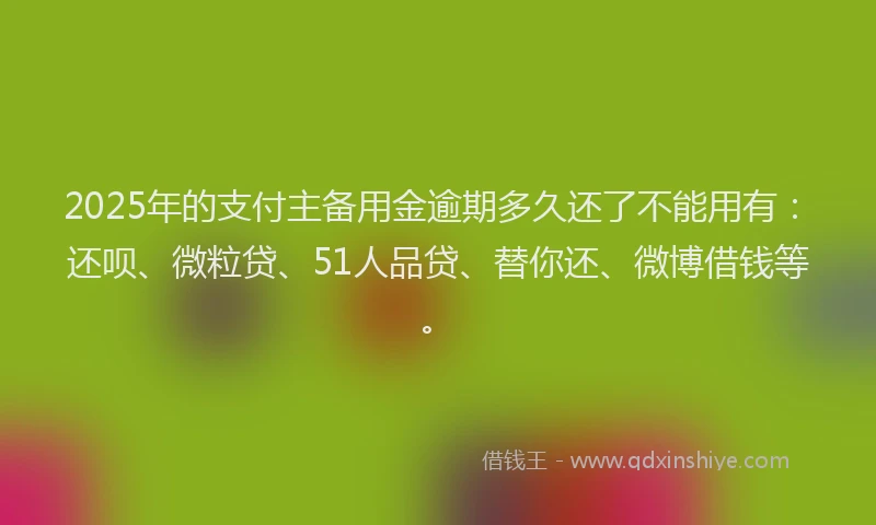 2025年的支付主备用金逾期多久还了不能用有：还呗、微粒贷、51人品贷、替你还、微博借钱等。