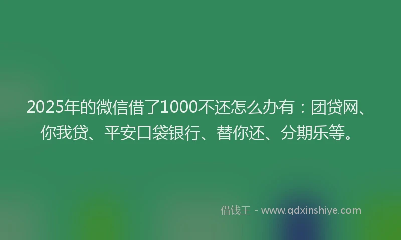 2025年的微信借了1000不还怎么办有：团贷网、你我贷、平安口袋银行、替你还、分期乐等。
