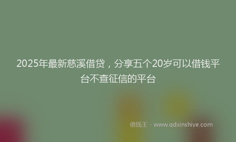 2025年最新慈溪借贷，分享五个20岁可以借钱平台不查征信的平台