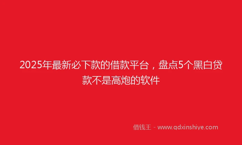 2025年最新必下款的借款平台，盘点5个黑白贷款不是高炮的软件