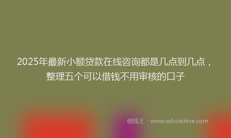 2025年最新小额贷款在线咨询都是几点到几点，整理五个可以借钱不用审核的口子