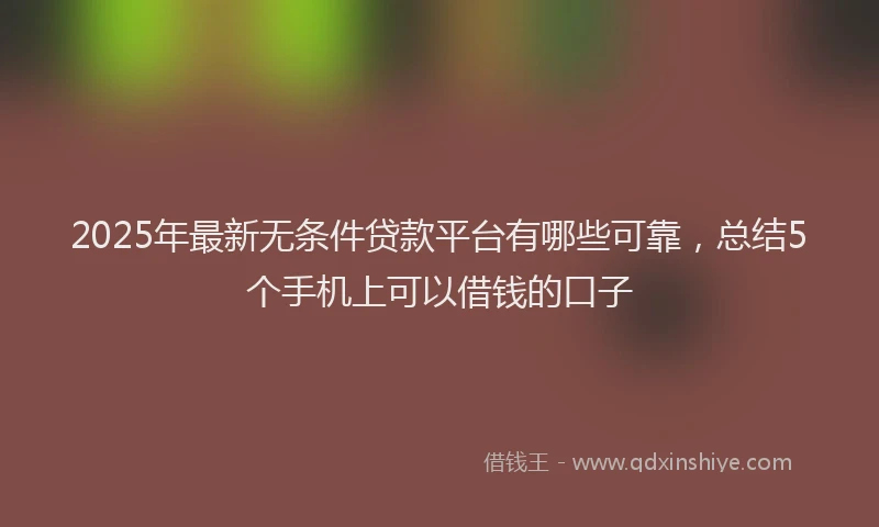 2025年最新无条件贷款平台有哪些可靠，总结5个手机上可以借钱的口子