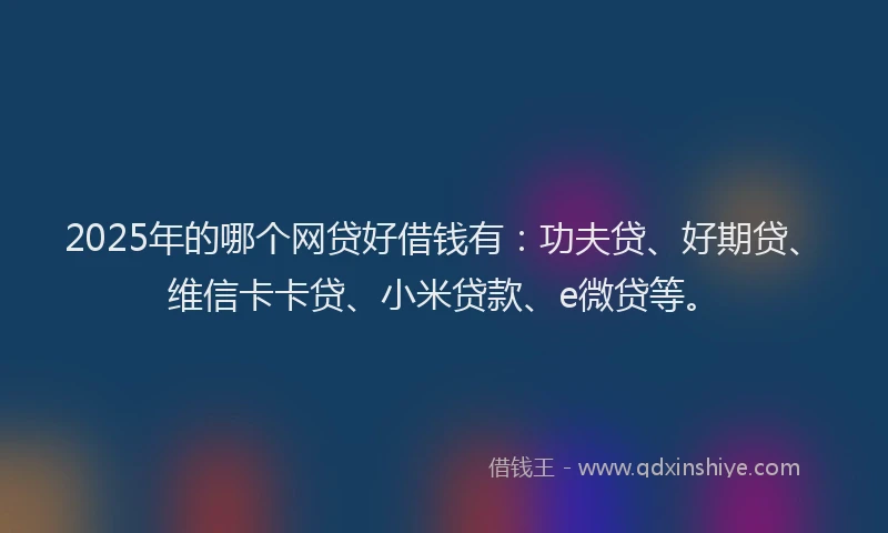 2025年的哪个网贷好借钱有：功夫贷、好期贷、维信卡卡贷、小米贷款、e微贷等。