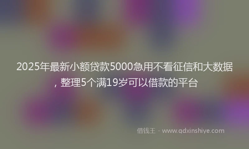 2025年最新小额贷款5000急用不看征信和大数据，整理5个满19岁可以借款的平台