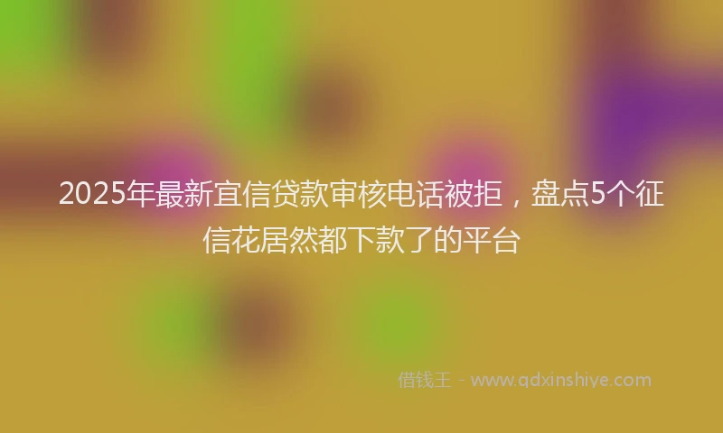 2025年最新宜信贷款审核电话被拒，盘点5个征信花居然都下款了的平台