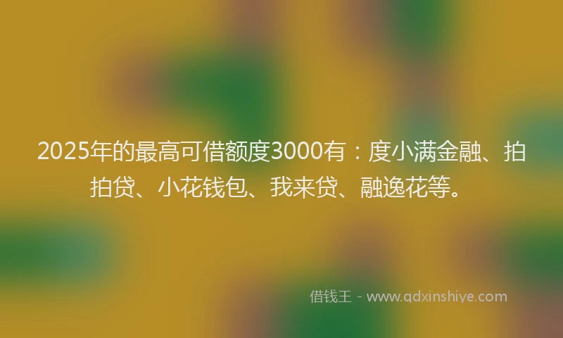 2025年的最高可借额度3000有：度小满金融、拍拍贷、小花钱包、我来贷、融逸花等。