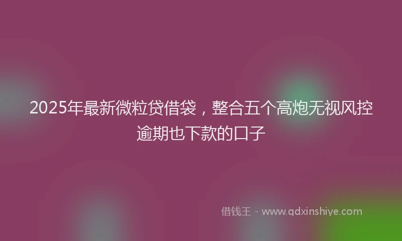 2025年最新微粒贷借袋，整合五个高炮无视风控逾期也下款的口子