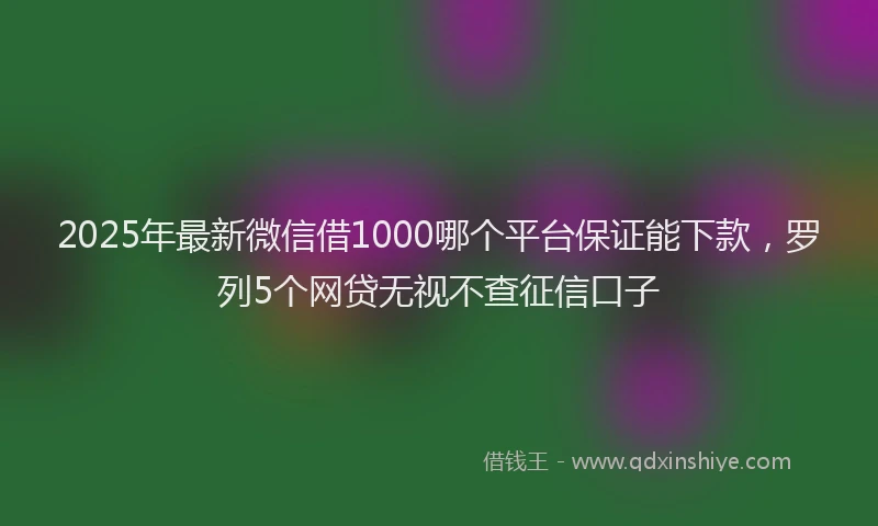 2025年最新微信借1000哪个平台保证能下款，罗列5个网贷无视不查征信口子