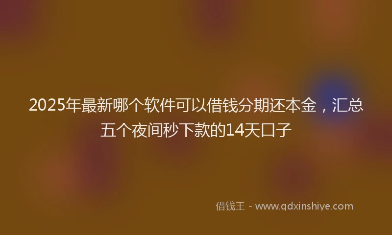 2025年最新哪个软件可以借钱分期还本金，汇总五个夜间秒下款的14天口子