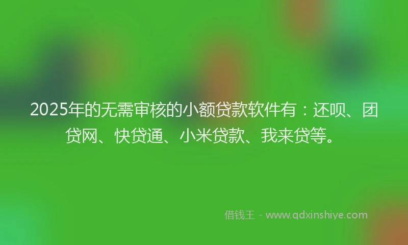 2025年的无需审核的小额贷款软件有：还呗、团贷网、快贷通、小米贷款、我来贷等。