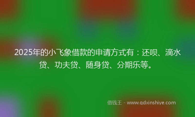 2025年的小飞象借款的申请方式有：还呗、滴水贷、功夫贷、随身贷、分期乐等。
