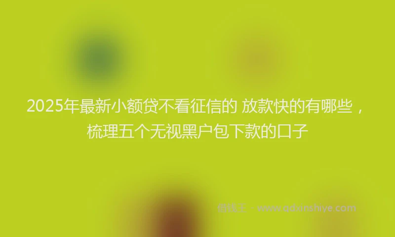 2025年最新小额贷不看征信的 放款快的有哪些，梳理五个无视黑户包下款的口子