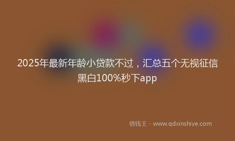 2025年最新年龄小贷款不过，汇总五个无视征信黑白100%秒下app